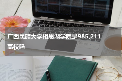 广西省南宁市广西民族大学相思湖学院是985,211高校吗
