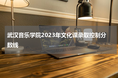 武汉音乐学院2023年文化课录取控制分数线