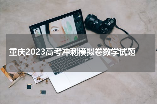 重庆2023高考冲刺模拟卷数学试题及答案