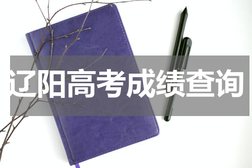 辽阳市2023高考成绩查询时间、方式及官方系统入口