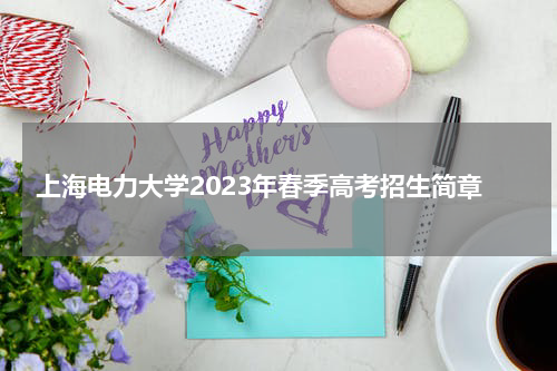 上海电力大学2023年春季高考招生简章
