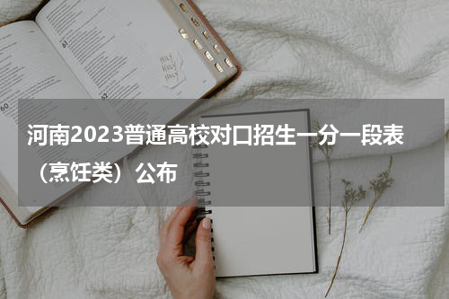河南2023普通高校对口招生一分一段表（烹饪类）统计