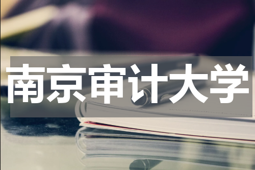 南京审计大学有哪些特色专业 王牌专业是什么