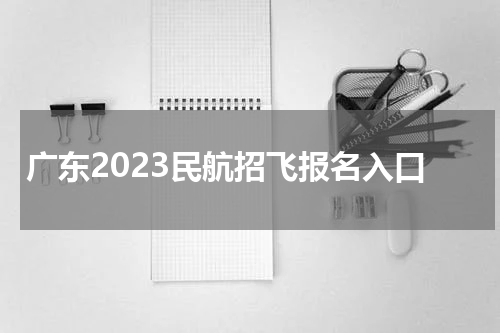 广东2023民航招飞网上怎么报名的?