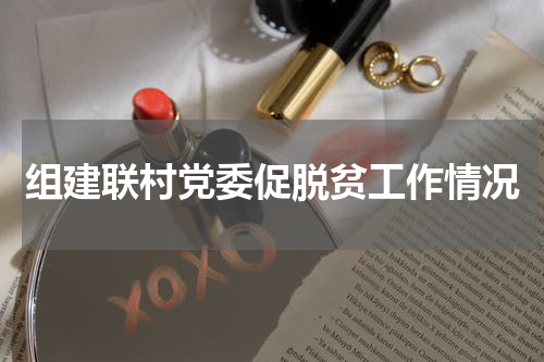 组建联村党委促脱贫工作情况