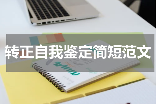 转正自我鉴定简短范文