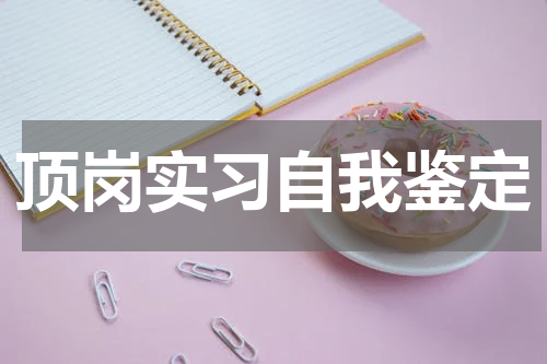 顶岗实习自我鉴定