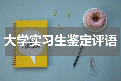 大学实习生鉴定评语
