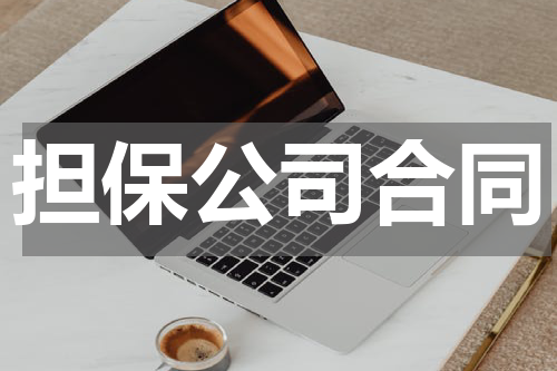 担保公司合同