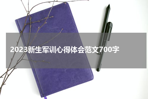 2023新生军训心得体会范文700字