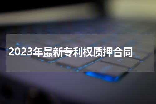 2023年最新专利权质押合同