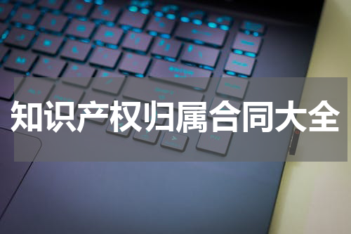知识产权归属合同大全