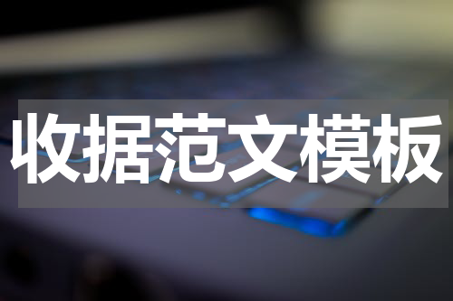 收据范文模板