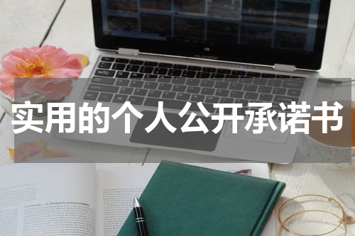 实用的个人公开承诺书