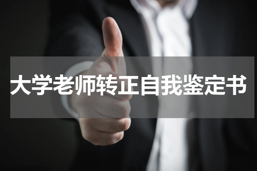 大学老师转正自我鉴定书
