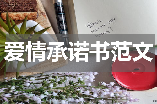 爱情承诺书范文