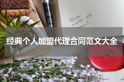 经典个人加盟代理合同范文大全