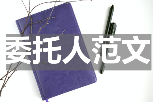 委托人范文