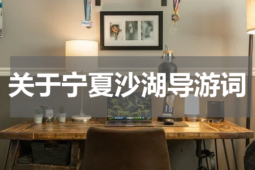 关于宁夏沙湖导游词