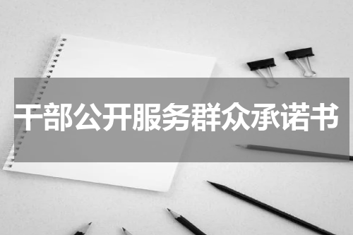 干部公开服务群众承诺书