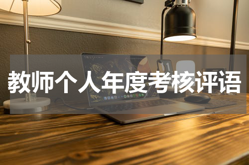 教师个人年度考核评语