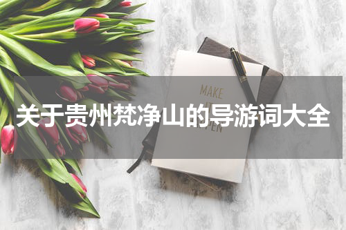 关于贵州梵净山的导游词大全