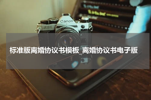 标准版离婚协议书模板_离婚协议书电子版