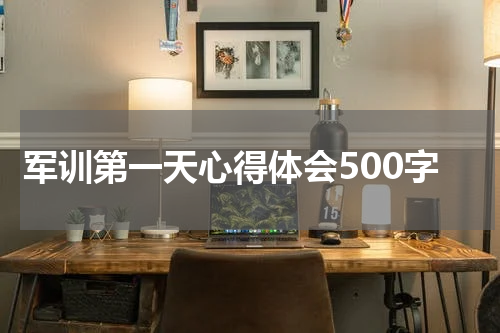 军训第一天心得体会500字