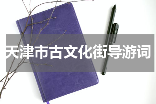 天津市古文化街导游词