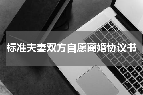 标准夫妻双方自愿离婚协议书