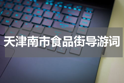 天津南市食品街导游词