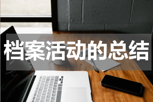 档案活动的总结