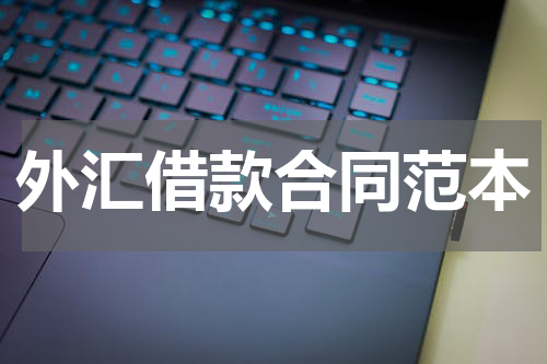 外汇借款合同范本