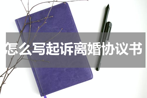 怎么写起诉离婚协议书