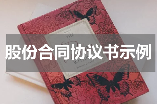 股份合同协议书示例