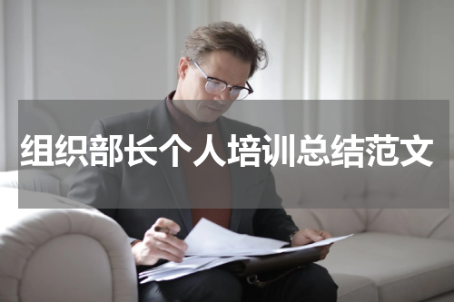 组织部长个人培训总结范文