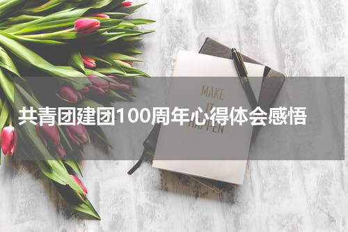 共青团建团100周年心得体会感悟