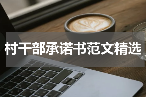村干部承诺书范文精选