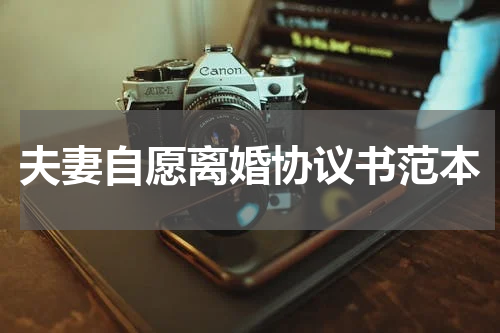 夫妻自愿离婚协议书范本