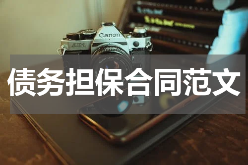 债务担保合同范文