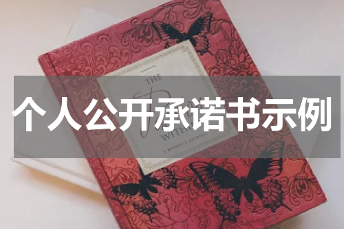 个人公开承诺书示例