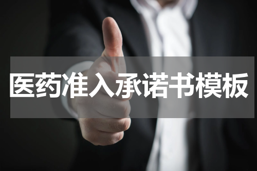 医药准入承诺书模板