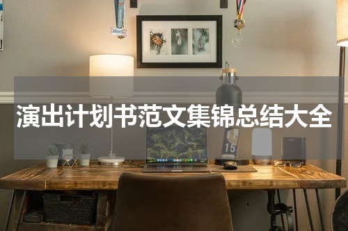 演出计划书范文集锦总结大全