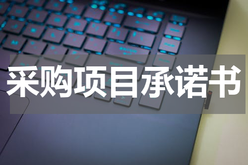 采购项目承诺书