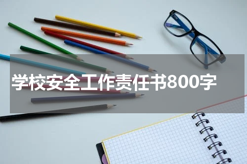 学校安全工作责任书800字