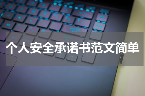个人安全承诺书范文简单