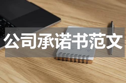 公司承诺书范文