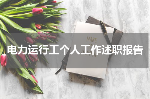 电力运行工个人工作述职报告