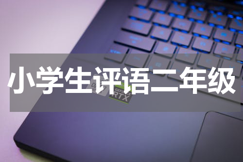 小学生评语二年级