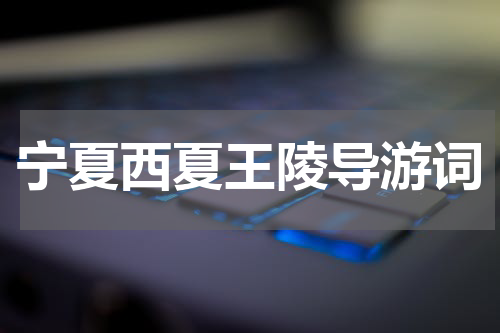 宁夏西夏王陵导游词